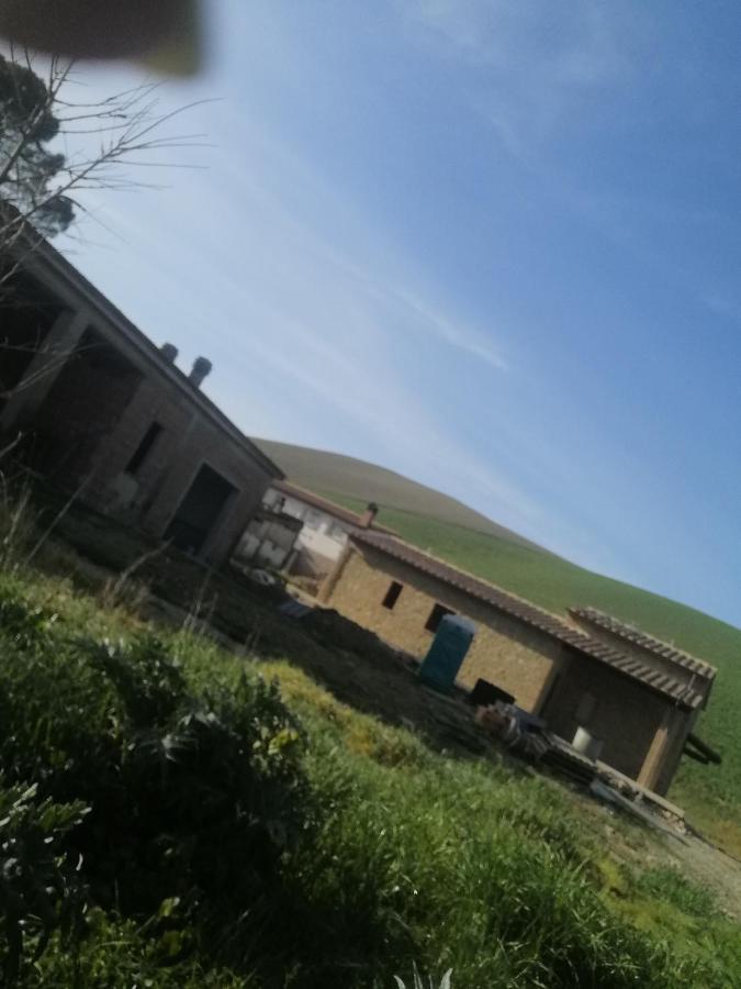 La Quinta Decima Bioagriturismo Fattoria Spedaletto Экстерьер фото