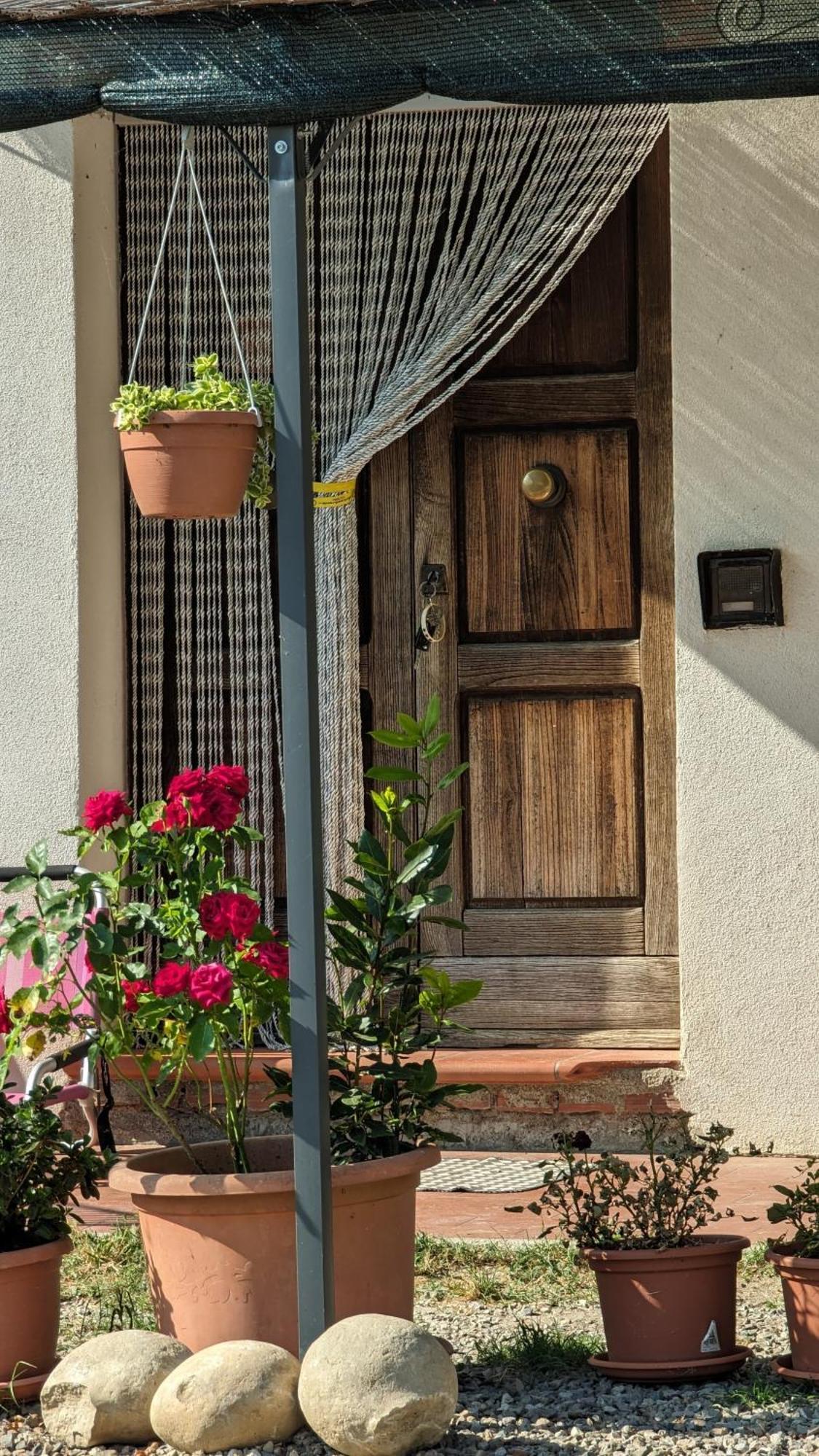 La Quinta Decima Bioagriturismo Fattoria Spedaletto Экстерьер фото