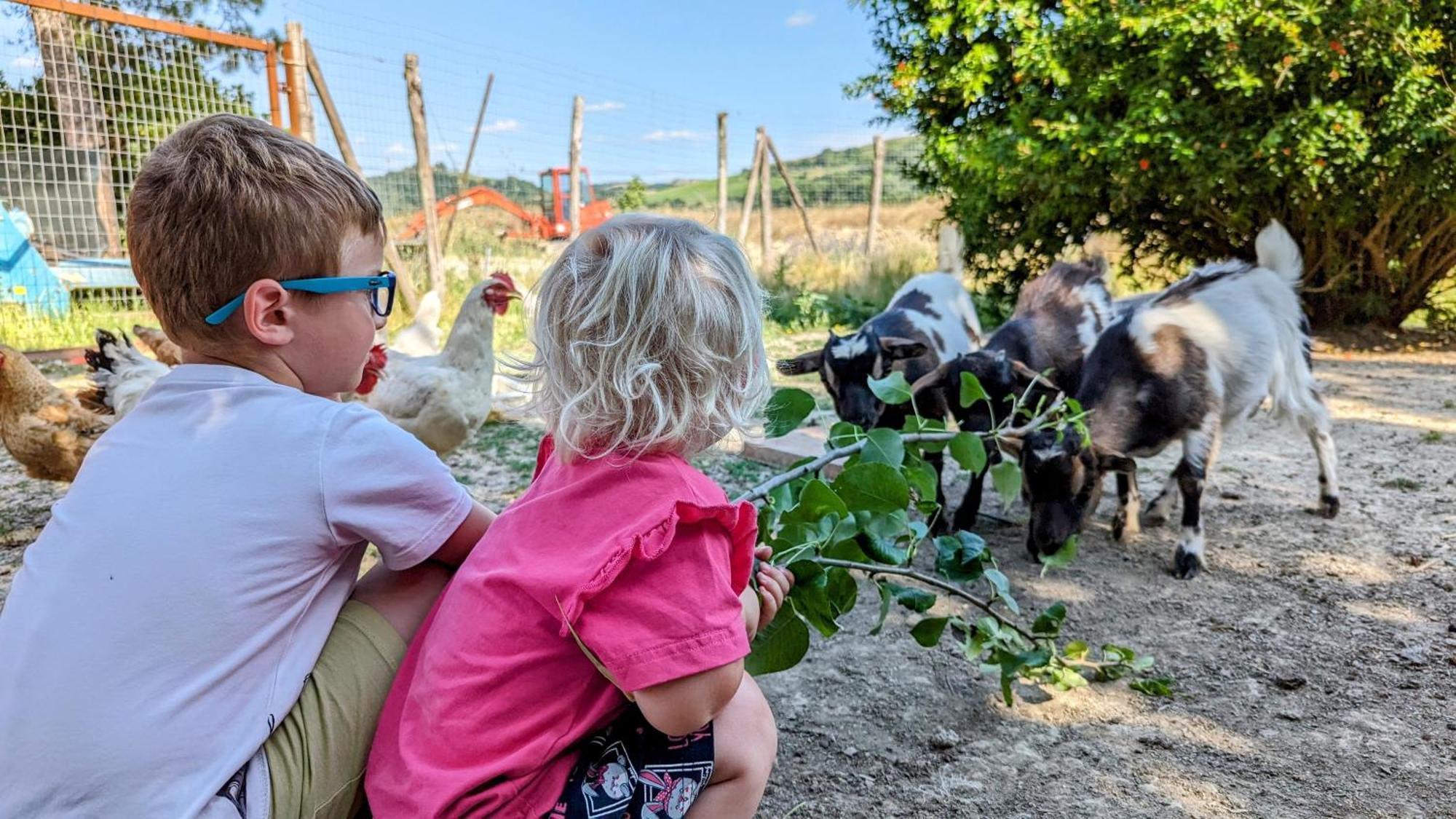 La Quinta Decima Bioagriturismo Fattoria Spedaletto Экстерьер фото